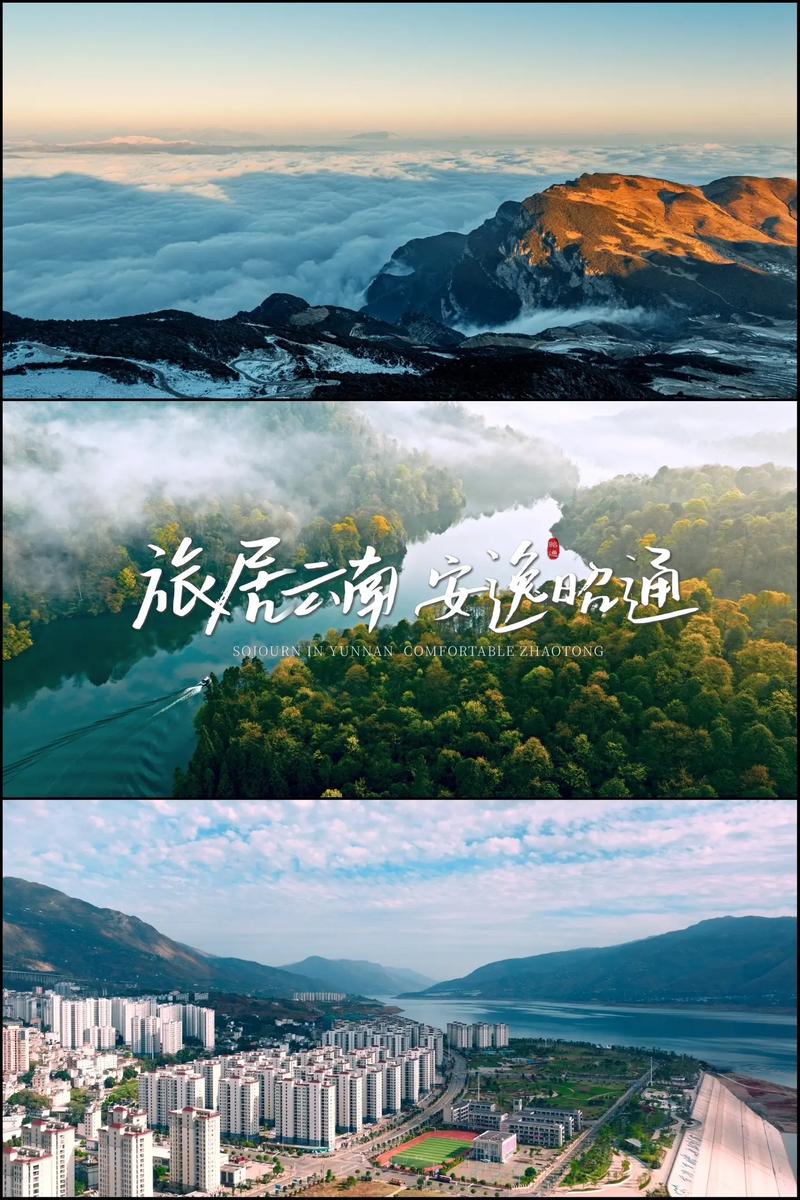 广告策划：构建品牌之桥